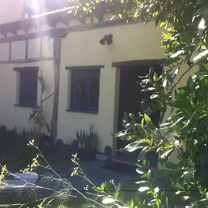 Apikale , Ea España